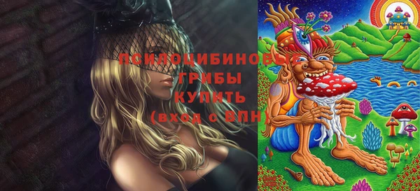 Альфа ПВП Медвежьегорск