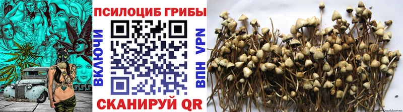 Псилоцибиновые грибы Psilocybe  как найти закладки  Палласовка 